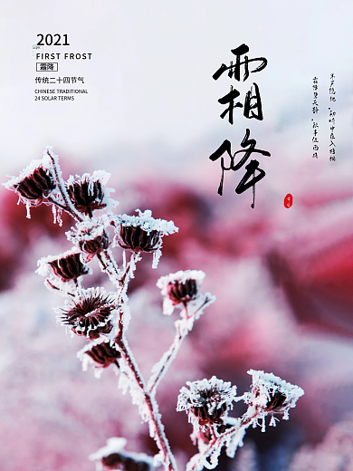 简约二十四节气之霜降节日宣传海报霜降海报