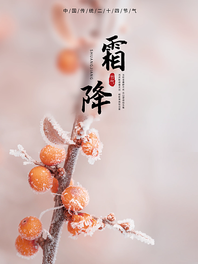 结霜草木的霜降海报