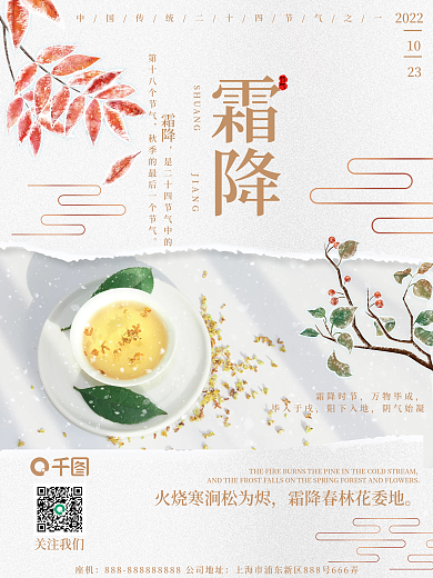 简约养生中国风二十四节气霜降节日菊花海报