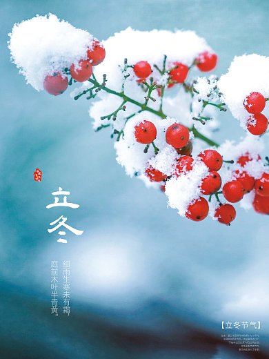 立冬摄影图节气海报
