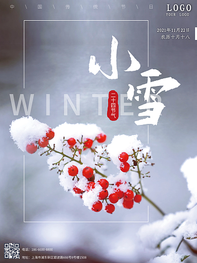 小雪冬天下雪24节气简约意境海报