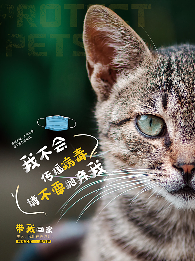 简约疫情不抛弃宠物海报