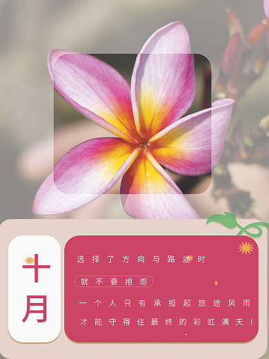 日签摄影图海报清新