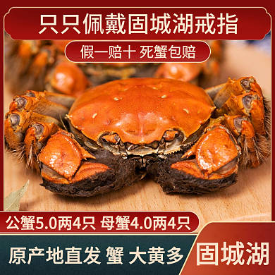 大闸蟹螃蟹主图直通车红色