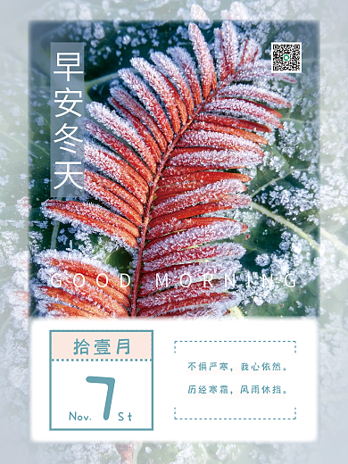 日签日历小清新冬天霜雪摄影图海报