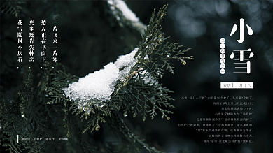 二十四节气展板之小雪背景海报