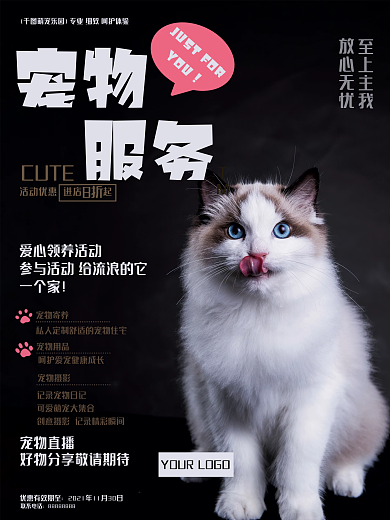 高端品质宠物摄影宠物服务宠物店新店开业