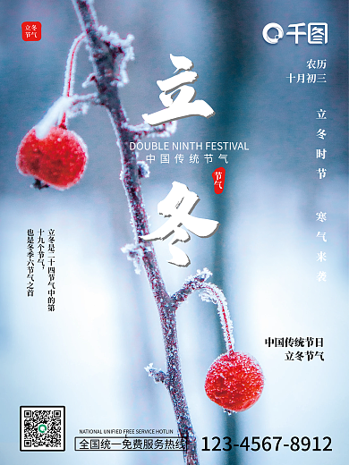 立冬摄影图结霜结冻的红果子二十四节气海报