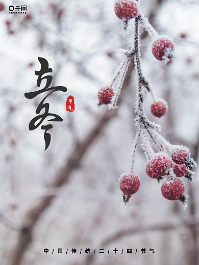 简约立冬摄影图节气海报