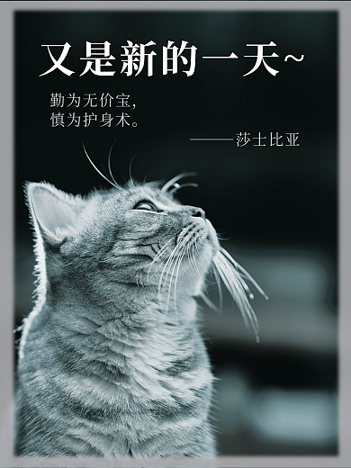 日签摄影图——新一天