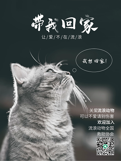宠物摄影图公益海报