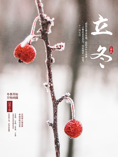 简约二十四节气立冬节气节日海报冬天海报