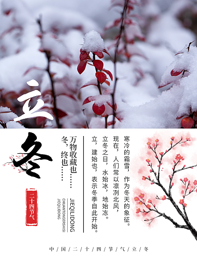 传统二十四节气摄影团海报立冬梅花节气海报
