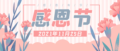 感恩节康乃馨粉色公众号封面banner