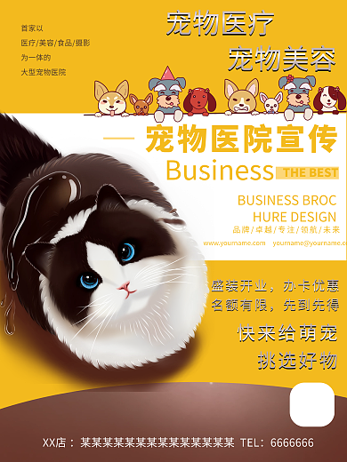 宠物医疗美容宣传宠物医院海报