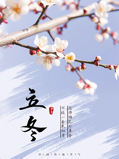 简约小清新寒梅立冬海报