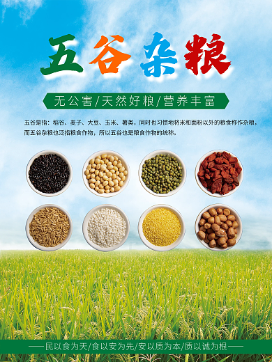 有机五谷杂粮海报
