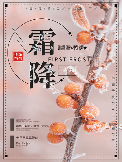 霜降二十四节气结霜结冰摄影海报