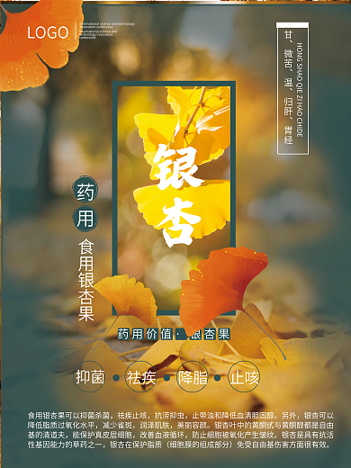 银杏海报银杏树叶银杏果科普知识宣传海报