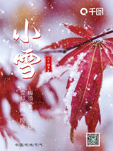 中国传统节日小雪二十四节气简约海报