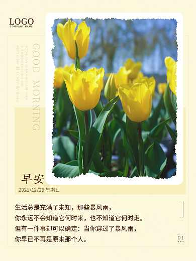 小清新花卉美图早安海报鸡汤语录日签