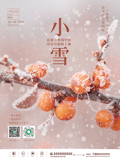 简约温暖摄影图小雪24节气冬天朋友圈海报