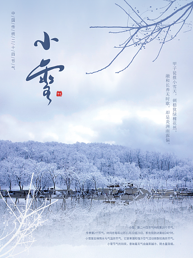 大气地产简约小雪大雪冬至节气海报