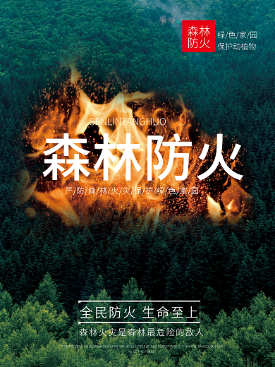 森林防火宣传简约实景森林防火森林消防宣传