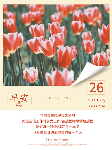 早安海报小清新花卉美图朋友圈鸡汤日签
