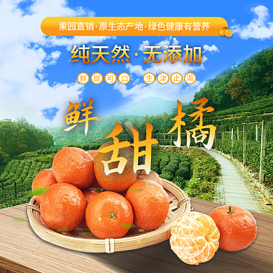 蜜橘橘子砂糖桔子主图