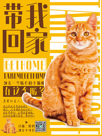 萌宠海报宠物领养海报