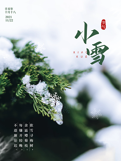 小雪节气海报松树积雪雪花大雪雪景