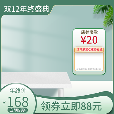 双12简约主图淘宝天猫促销电商标签直通车