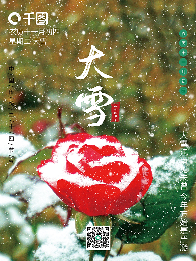 大雪天里的玫瑰花海报