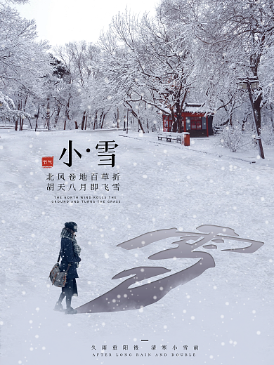 小雪节气摄影图简约创意海报