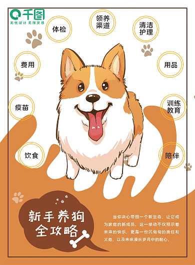 新手养宠4大攻略