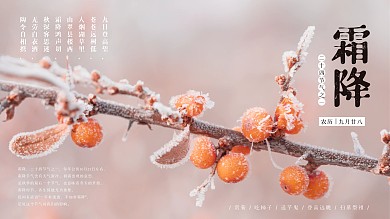 二十四节气展板之霜降背景海报