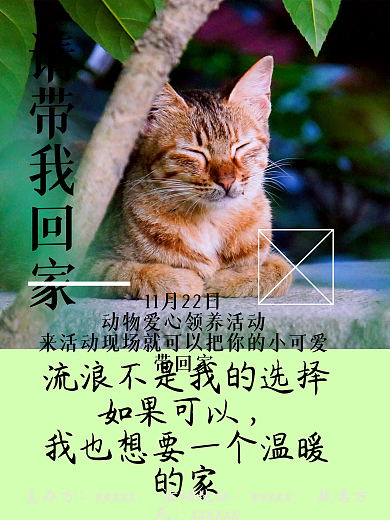 宠物带我回家