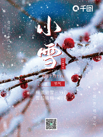 二十四节气小雪树枝上的花朵海报