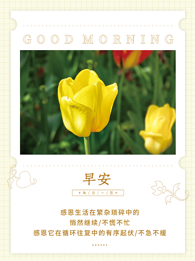 早安海报小清新花卉美图正能量语录日签