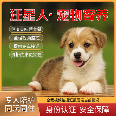 宠物寄养主图直通车