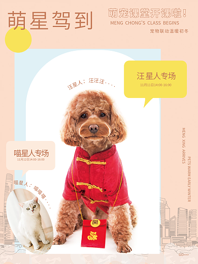 宠物暖场活动海报