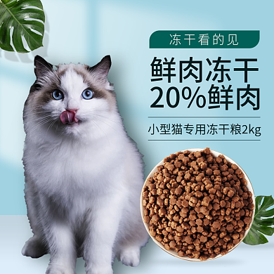 宠物用品猫粮鲜肉冻干蓝色小清新简约主图