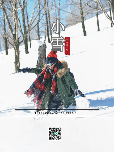 小雪大雪冬至海报元素滑雪海报素材