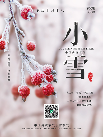小雪节气海报红果子初积雪降温添衣寒潮