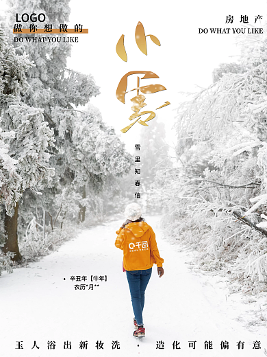 简约创意小清新小雪二十四节气冬季海报