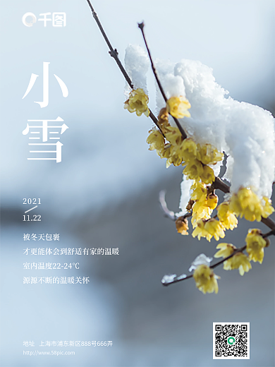 11月平面新人摄影图海报主题小雪