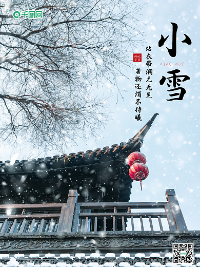 二十四节气冬季简约摄影图小雪海报