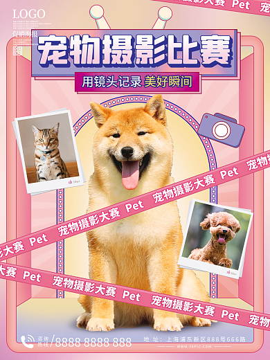 宠物摄影比赛宣传海报