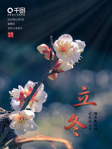 简约小清新寒梅立冬海报